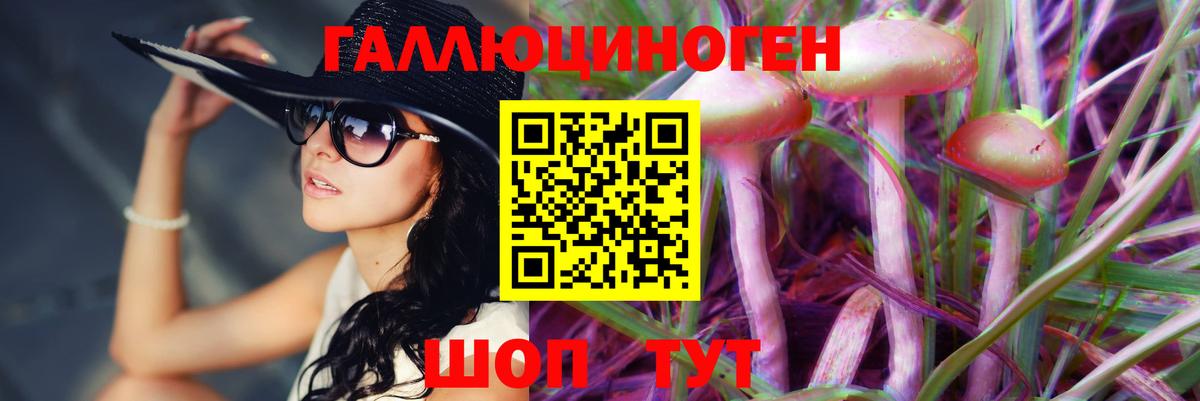 Галлюциногенные грибы Psilocybe Гатчина