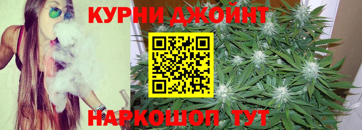 Бошки марихуана ГИДРОПОН  Канабис марихуана  Вход с VPN  Конопля планчик  Гатчина 